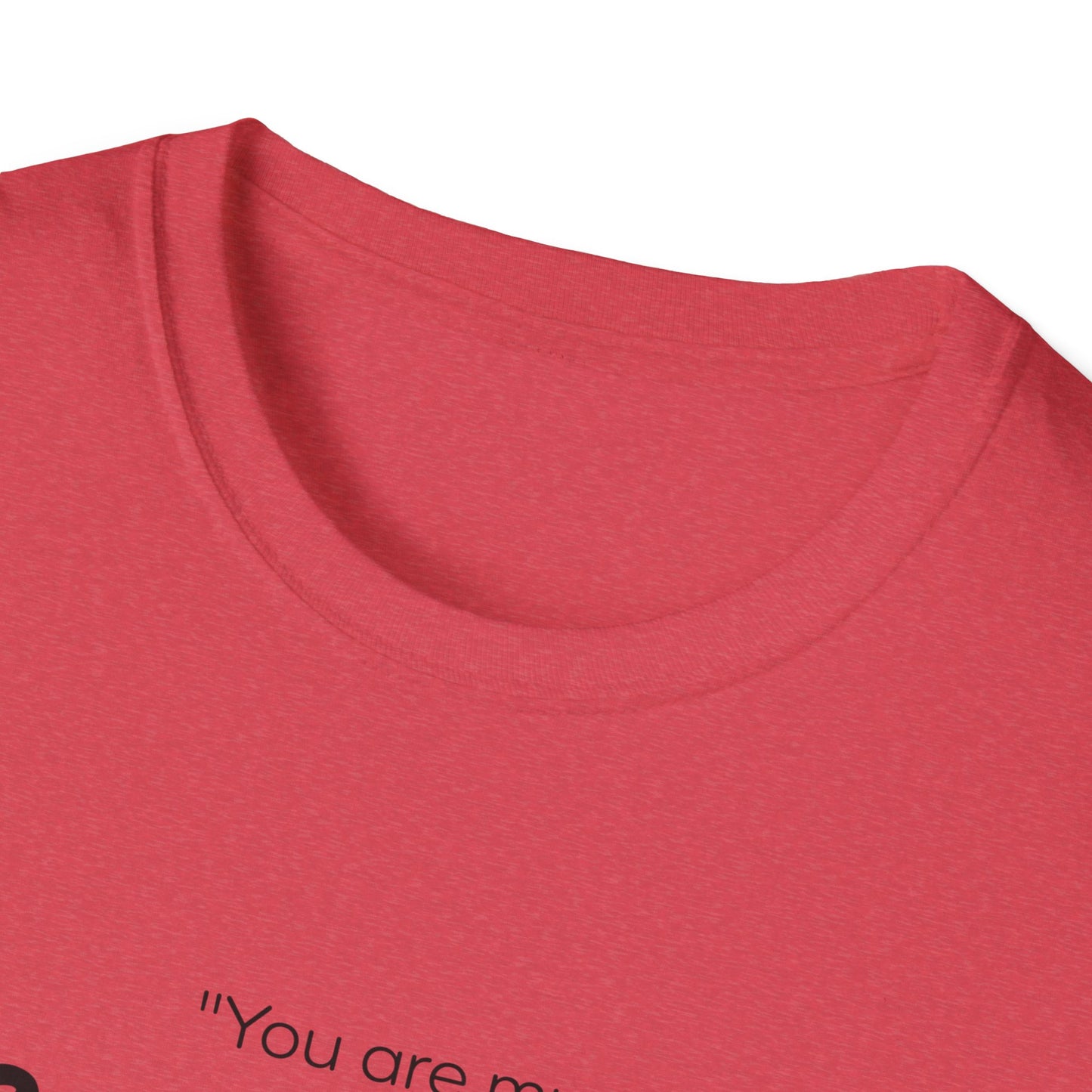 Do What I Command T-Shirt