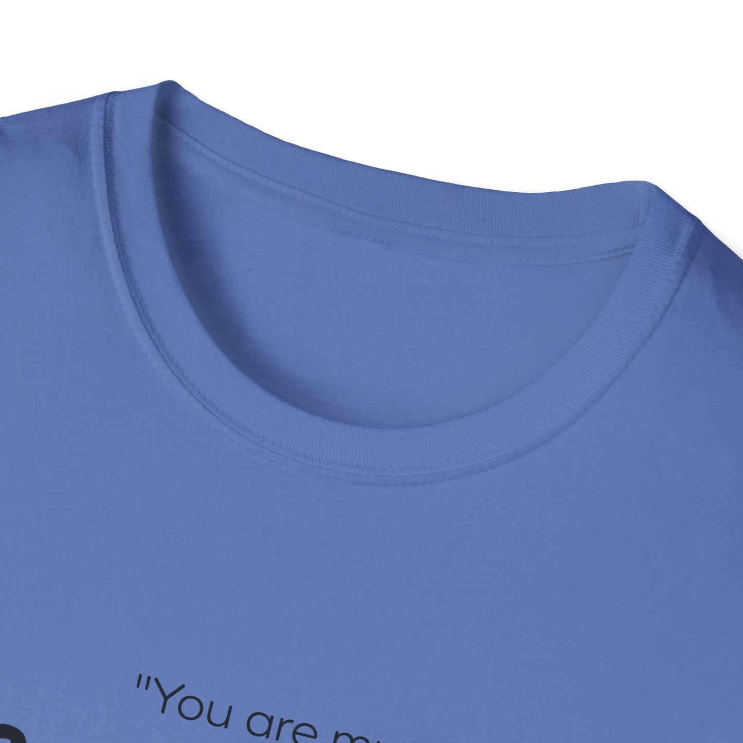 Do What I Command T-Shirt