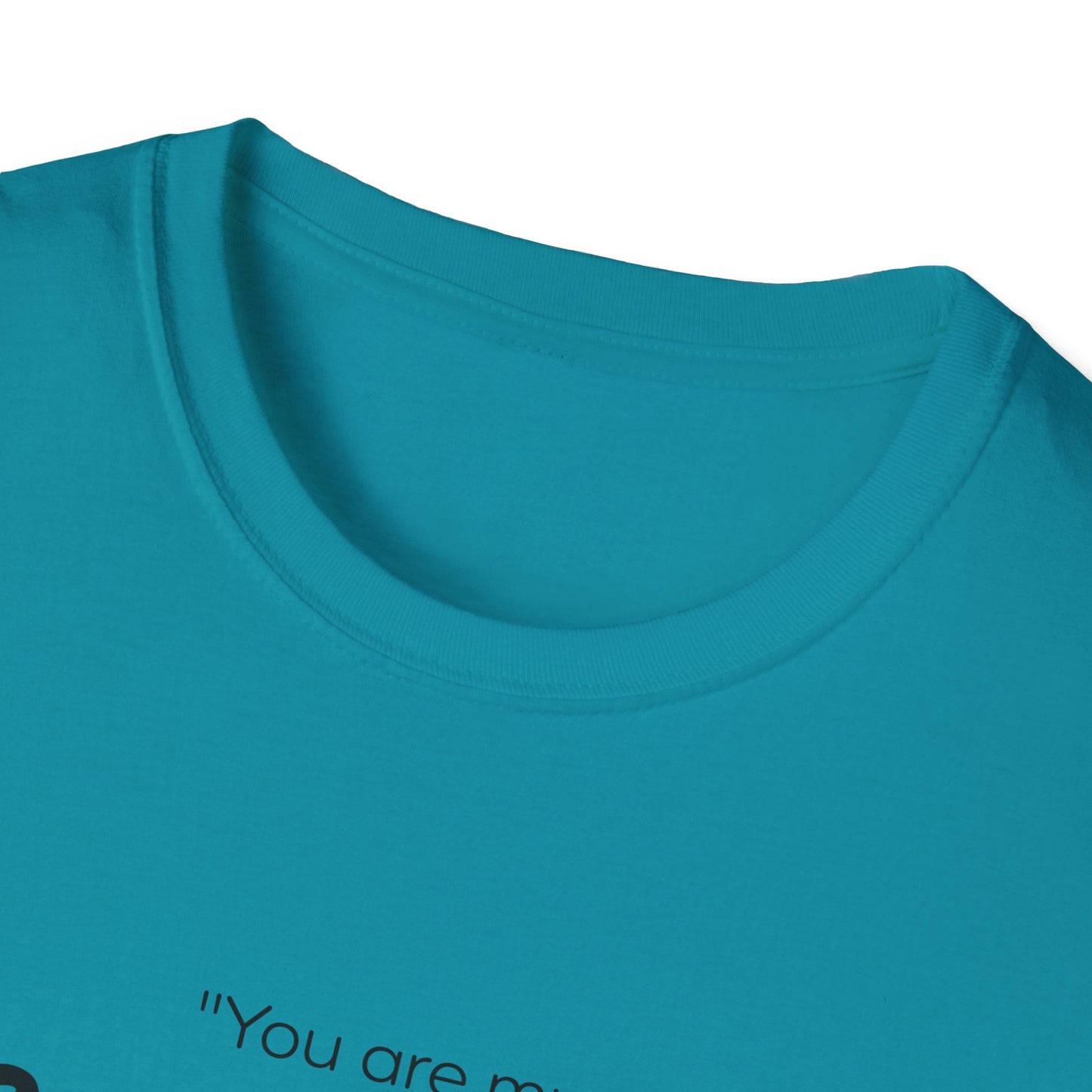 Do What I Command T-Shirt