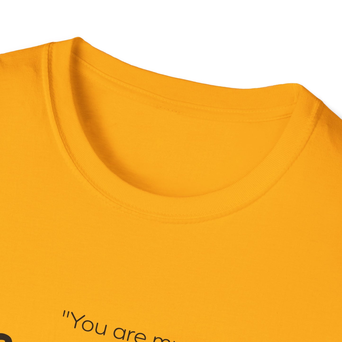 Do What I Command T-Shirt