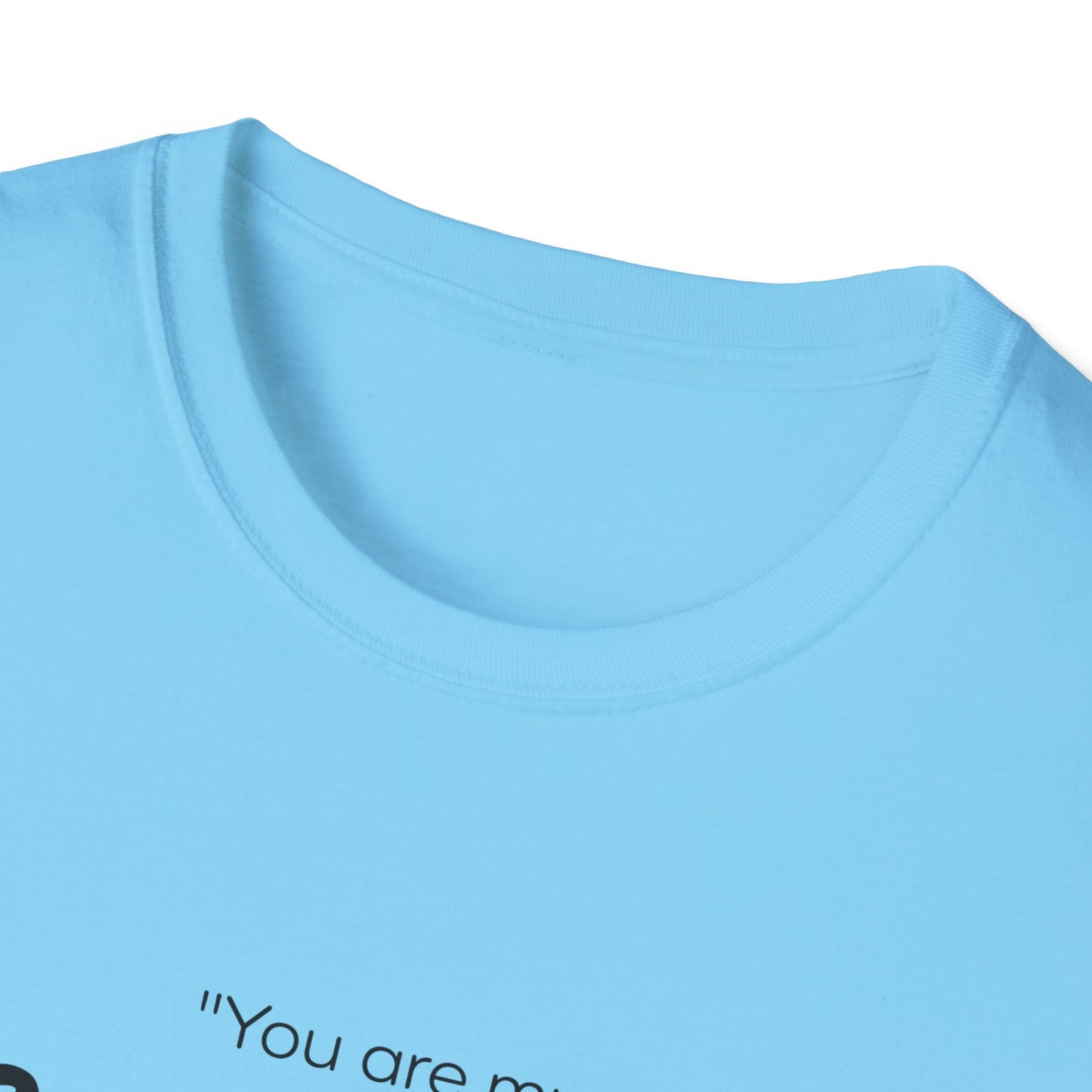 Do What I Command T-Shirt