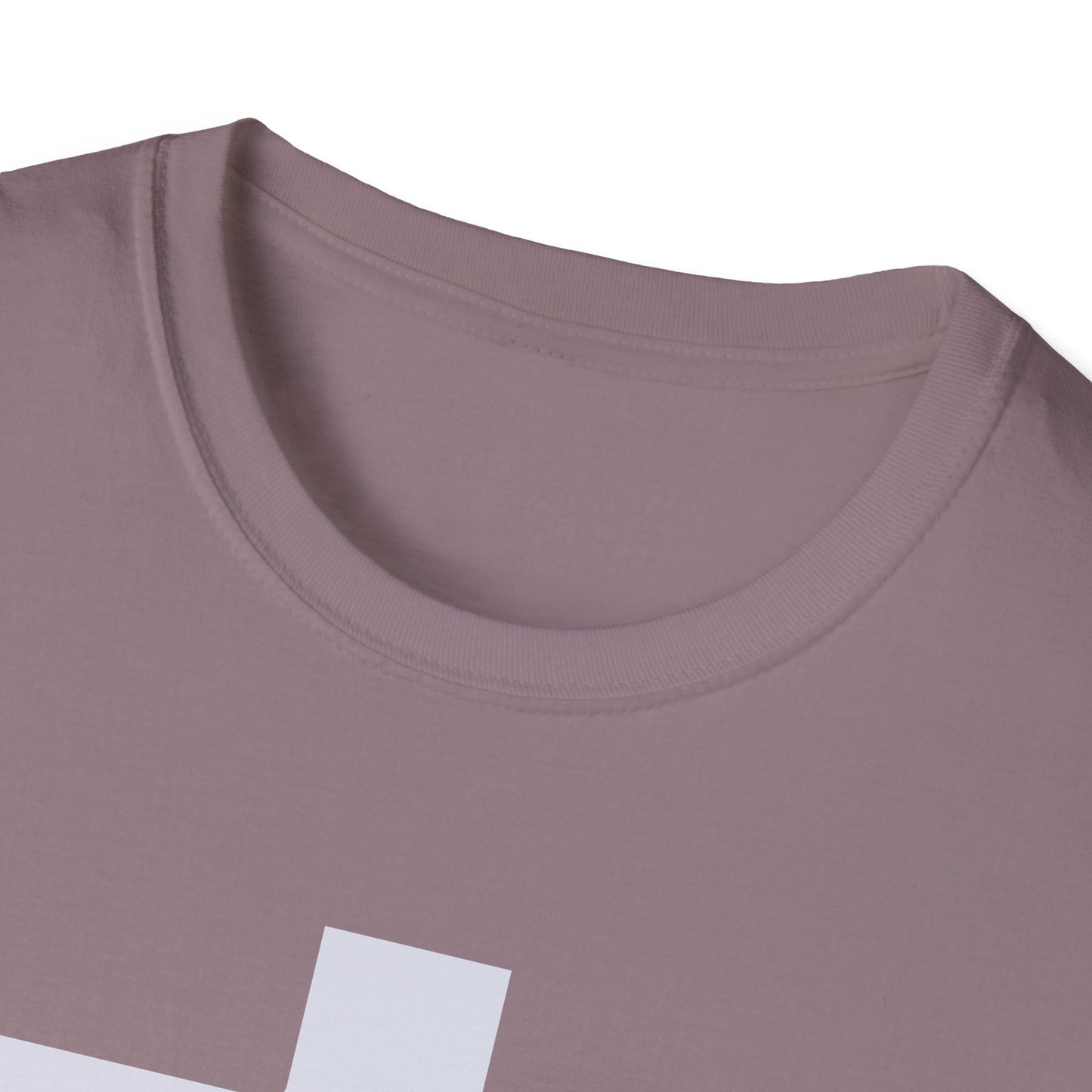 Not to be Ignored t-shirt