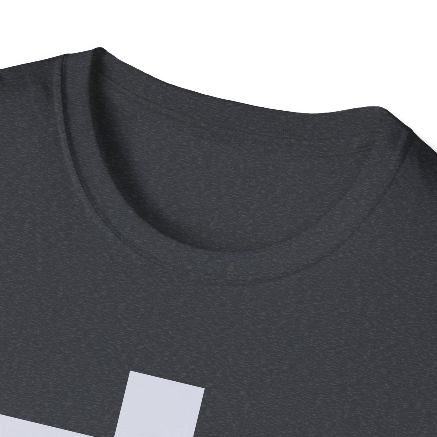 Not to be Ignored t-shirt